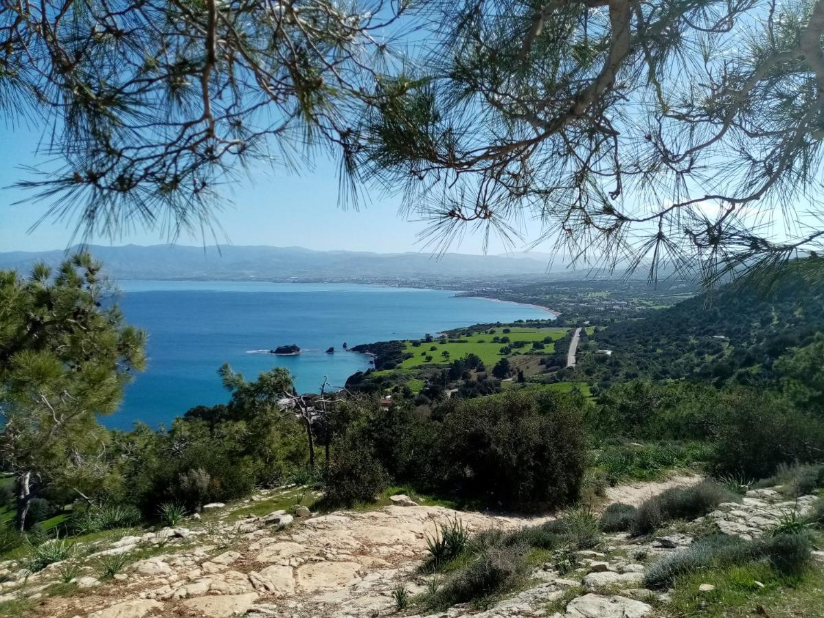 The Summer Haven Polis Dış mekan fotoğraf